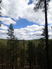 photo thumbnail #7