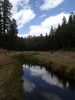2014-05-08 :2: Blue Ridge - AZT #27 :: sirena