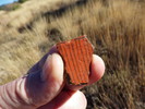 photo thumbnail #4