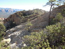 photo thumbnail #8