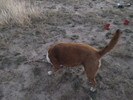 photo thumbnail #2