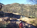 photo thumbnail #10