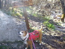 photo thumbnail #13