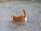 photo thumbnail #1
