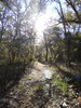 photo thumbnail #10