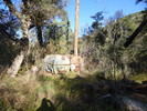 photo thumbnail #11
