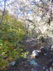 photo thumbnail #13