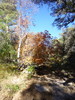 photo thumbnail #14