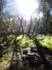 photo thumbnail #15