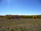 photo thumbnail #13