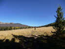 photo thumbnail #15