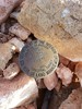 photo thumbnail #10