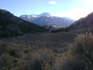 photo thumbnail #15