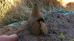 photo thumbnail #12