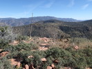 photo thumbnail #5