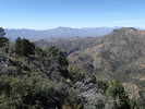 photo thumbnail #9