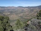 photo thumbnail #11