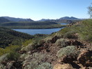 photo thumbnail #3