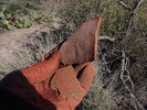 photo thumbnail #6