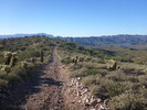 photo thumbnail #7