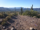 photo thumbnail #8