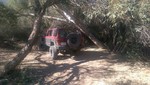 photo thumbnail #4