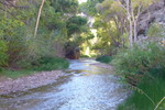 photo thumbnail #7