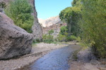 photo thumbnail #11