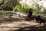 photo thumbnail #13