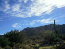 photo thumbnail #2