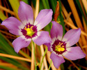 photo thumbnail #14