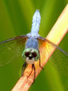 photo thumbnail #15