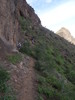 photo thumbnail #13