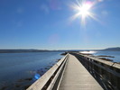 photo thumbnail #10