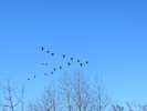photo thumbnail #14