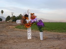 photo thumbnail #3
