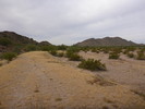 photo thumbnail #13