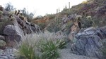 photo thumbnail #6