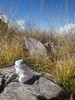 photo thumbnail #10