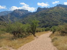 photo thumbnail #3