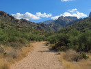 photo thumbnail #4