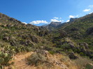 photo thumbnail #6