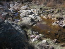 photo thumbnail #10
