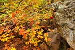photo thumbnail #11