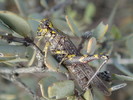 photo thumbnail #5