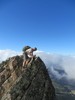 photo thumbnail #12