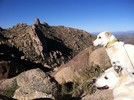 photo thumbnail #1