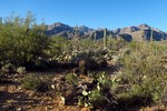 photo thumbnail #5