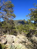 photo thumbnail #6