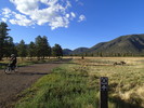 photo thumbnail #8